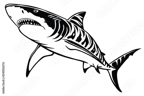 illustration reveals a fierce shark with sharp teeth and unique body markings