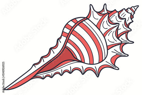Beautiful conch shell with white and red stripes is isolated against a white backdrop