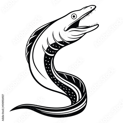Black and white moray eel curves its body and opens its mouth widely