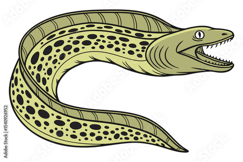 Moray eel displaying its sharp teeth with its mouth open showing aggression
