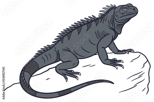 Gray cartoon iguana with spines sits calmly atop a sketched white rock