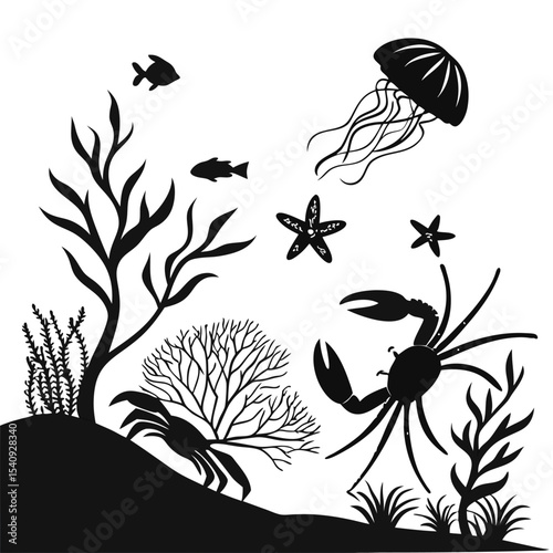 Silhouetted jellyfish floats above the crab, starfish, and other marine life near seaweed