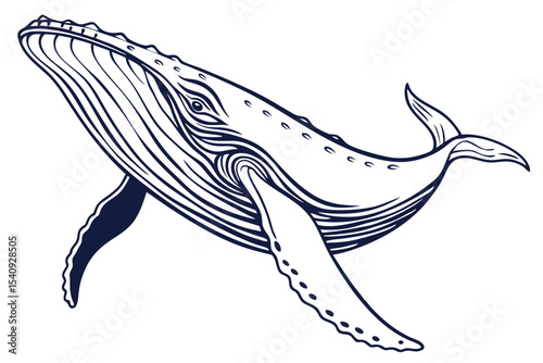Detailed line work displays a humpback whale swimming upward in an artistic ocean depiction