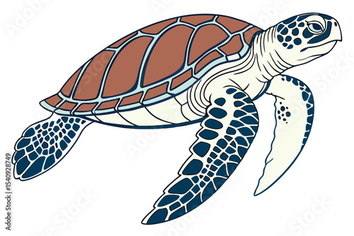 Isolated sea turtle gracefully swims with patterned shell and flippers underwater
