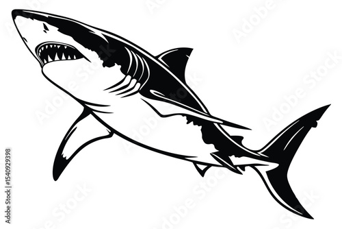 Sharp black and white shark ascends with open jaws displaying its teeth prominently