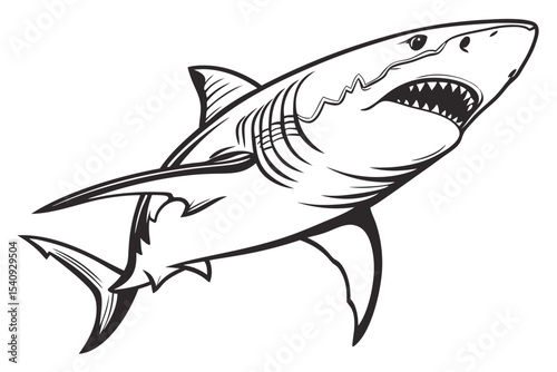 Monochrome shark with menacing open jaws swims upwards in this line art drawing