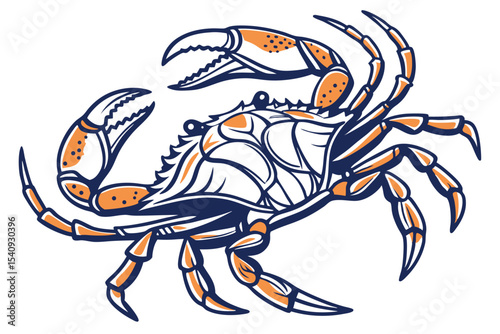 Detailed crab displays sharp pincers and multiple legs with orange accents on a white background