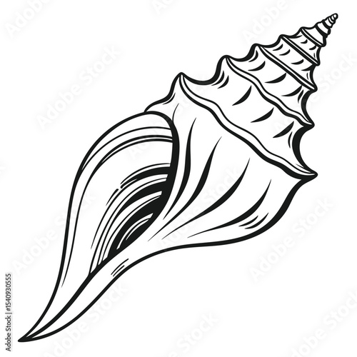 Detailed monochrome shows the distinctive contour of a turritella seashell against a white backdrop