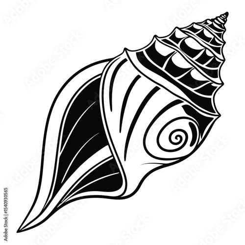 Detailed monochrome sketch shows an intricate spiral sea shell over white, revealing elegant lines