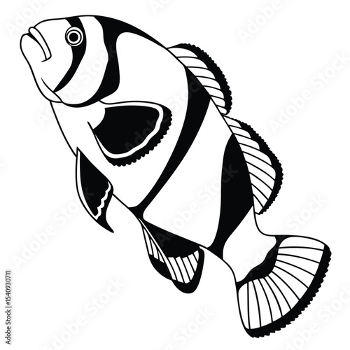 Monochromatic clownfish with distinct white bands and fins makes an artistic, image