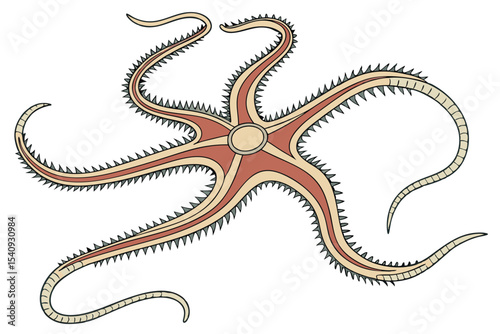 Illustrated brittle star displays radial symmetry and spiky texture in pale brown and muted red hues