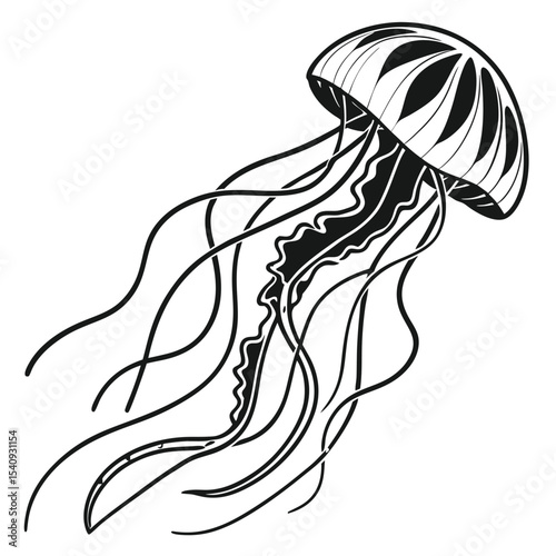 Detailed monochrome sketch presents a jellyfish gracefully drifting with elegant tentacles and bell pattern