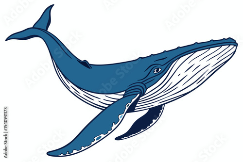Isolated blue humpback whale swims gracefully through open waters, revealing its enormous size