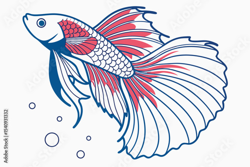 Betta fish gracefully swims forward, its flowing fins accentuated with coral and deep blue outlines