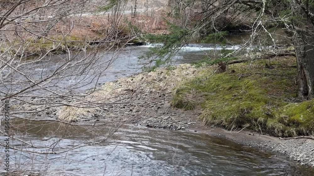 Mountain Stream in Wooded Setting, Hudson Valley, New York
Mountain Stream in Wooded Setting, Hudson Valley, New York