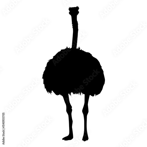 High-Quality Ostrich Struthio camelus Silhouette EPS Vector Isolated for Commercial Use and Creative Designs