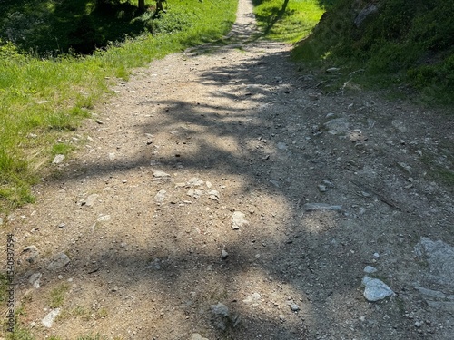 path in the park