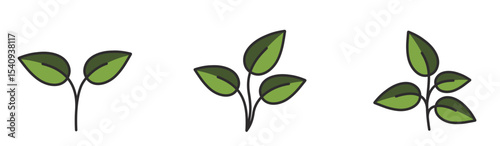Growing plants with leaves in green colors. Nature and planting design elements. Isolated vector images