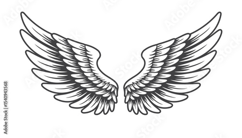 angel wings vector illustration vintage design