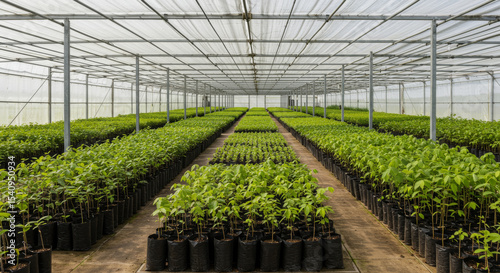 Nursery of Future Forests
