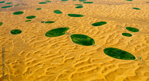 Desert Greening - Oases Spreading
