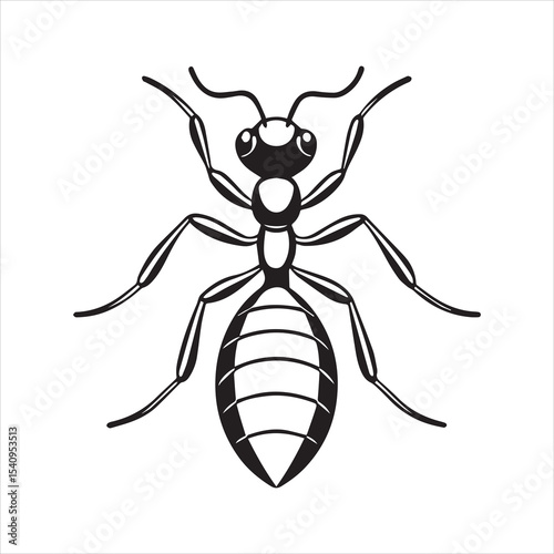 ant vector illustration black insect