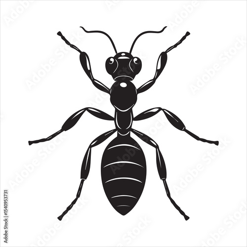 ant vector illustration black insect