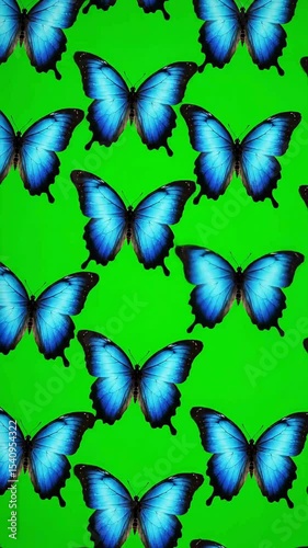seamless pattern with butterflies