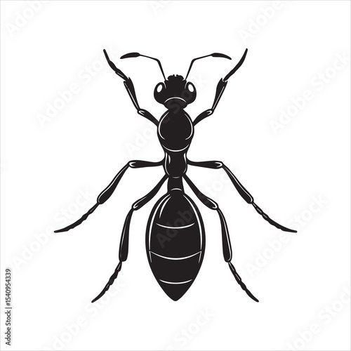 ant vector illustration black insect