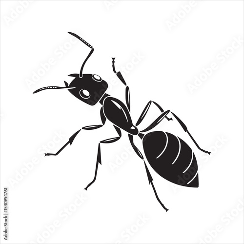 ant vector illustration black insect