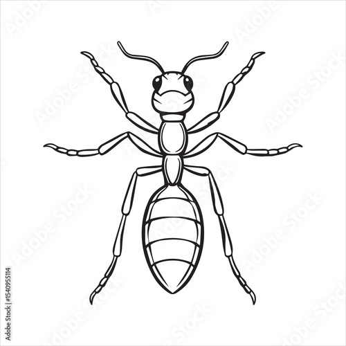 ant vector illustration black insect