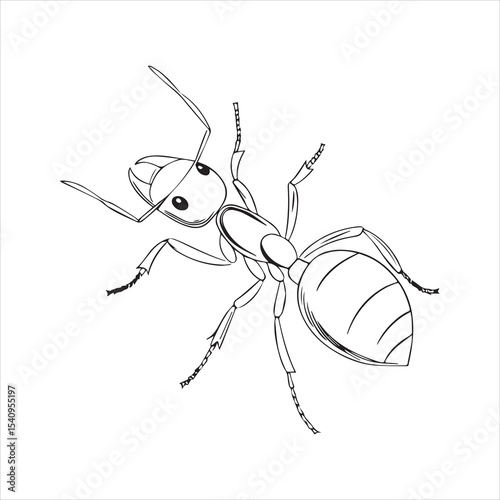 ant vector illustration black insect