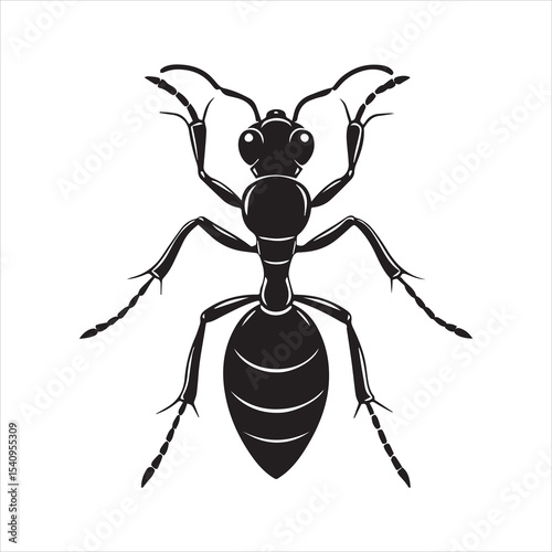 ant vector illustration black insect
