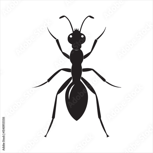 ant vector illustration black insect