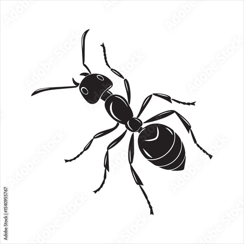ant vector illustration black insect