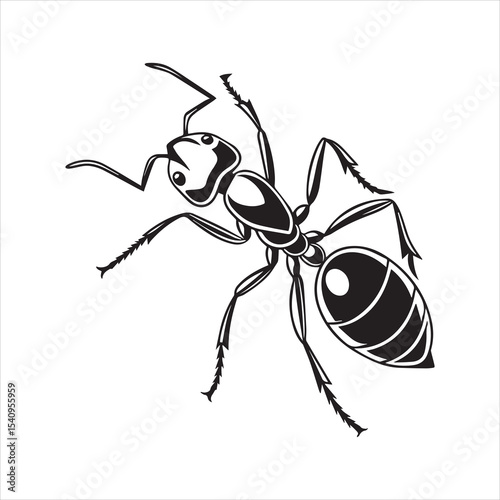 ant vector illustration black insect