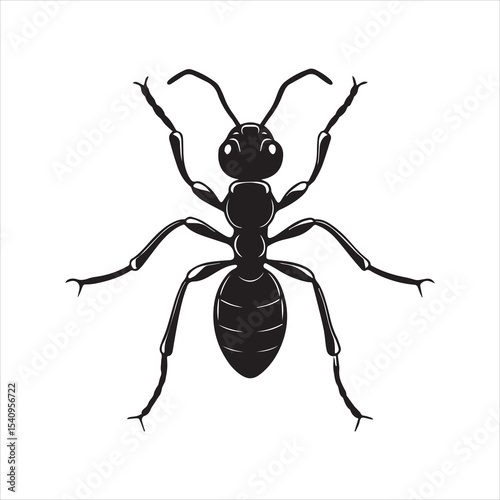 ant vector illustration black insect