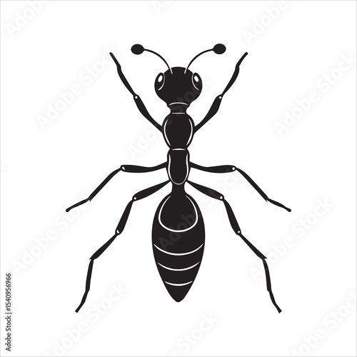 ant vector illustration black insect