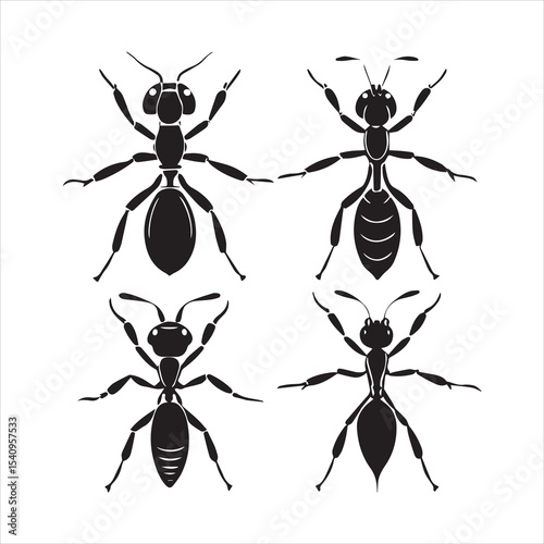 ant vector illustration black insect