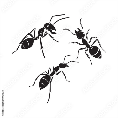 ant vector illustration black insect