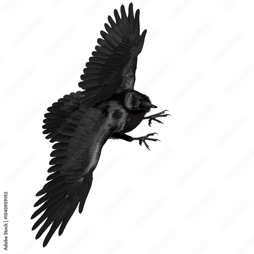 Fototapeta premium 3D rendered black fantasy raven isolated on transparent background