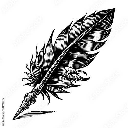 quill pen sketch engraving black and white outline. Scratch board imitation.