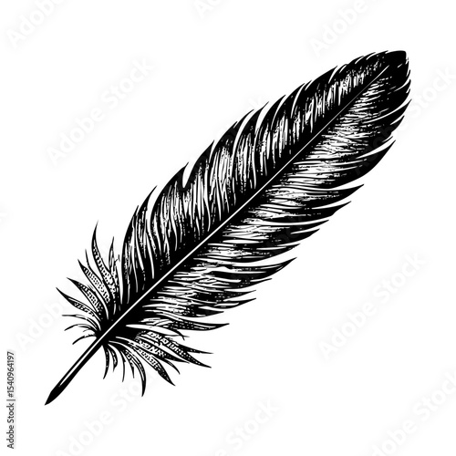 quill pen sketch engraving black and white outline. Scratch board imitation.