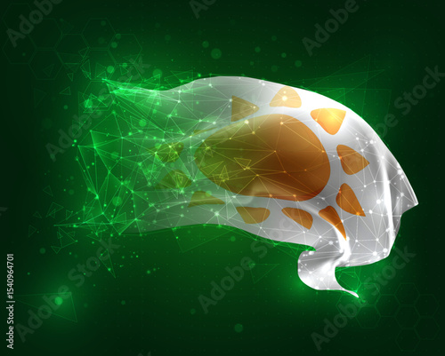 vector 3d flag virtual polygons on a green background