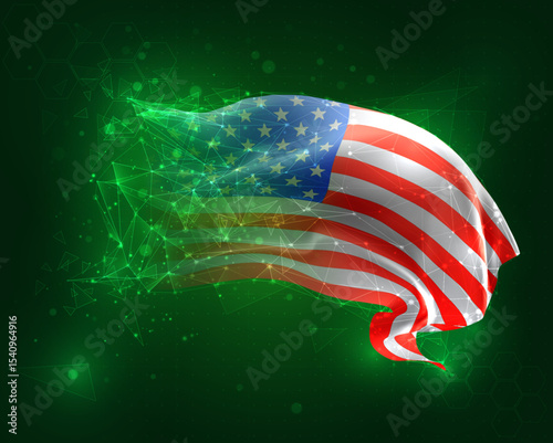 vector 3d flag virtual polygons on a green background