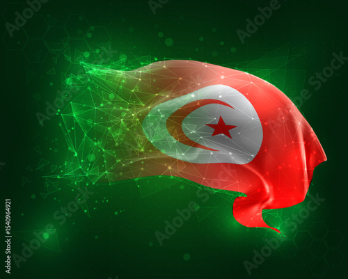 vector 3d flag virtual polygons on a green background