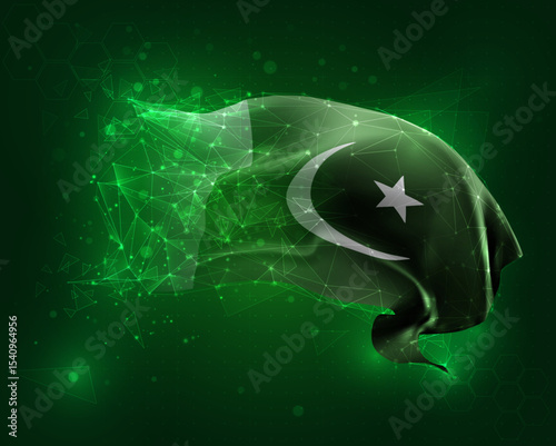 vector 3d flag virtual polygons on a green background
