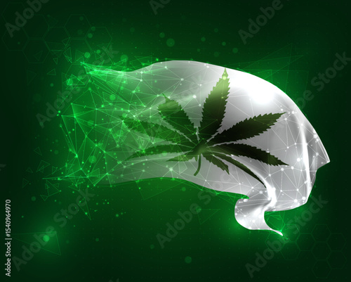 vector 3d flag virtual polygons on a green background