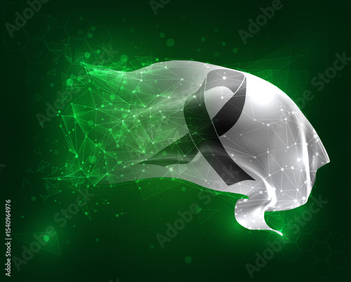 vector 3d flag virtual polygons on a green background