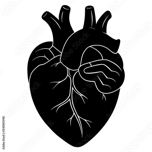 Black silhouette of a human heart anatomy